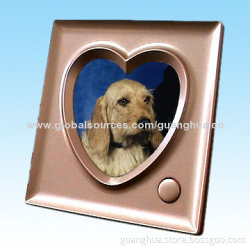 Photo Frame with Recording, Voice Responding Functions and 11.5kg Gross Weight